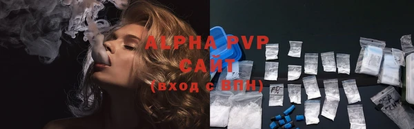 apvp Бородино
