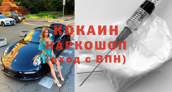 apvp Бородино