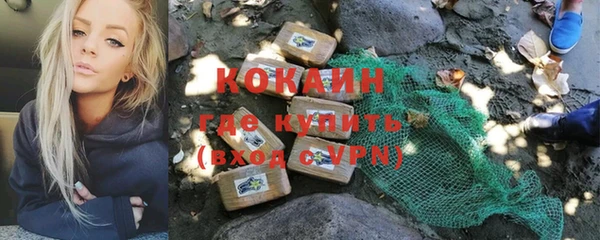 apvp Бородино