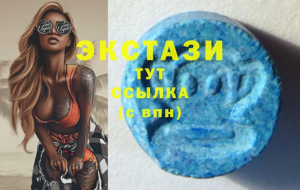 СК Бронницы