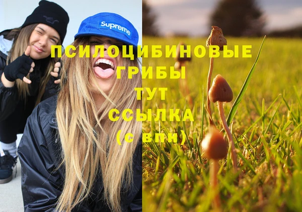 СК Бронницы