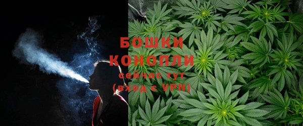 СК Бронницы