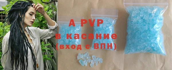 СК Бронницы