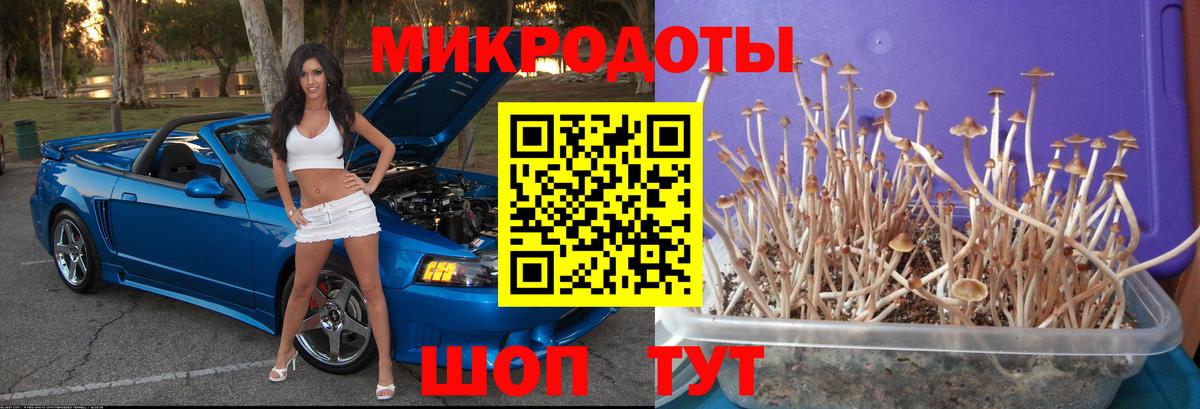 Галлюциногенные грибы мицелий Городец