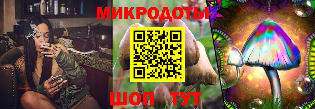 Псилоцибиновые грибы мицелий  Вход с VPN  Галлюциногенные грибы Psilocybine cubensis  дарнет шоп  Городец 